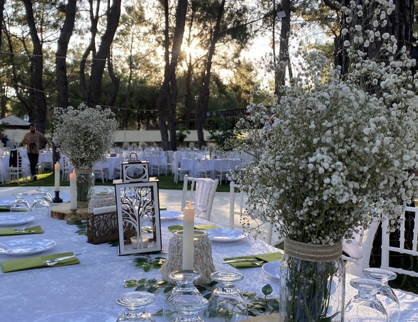 TALYA ORMAN KIR DÜĞÜNÜ - Fotoğraf 0